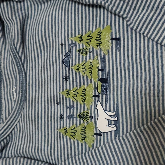 3 pieces Matching Carters Set - Picture 8 of 13